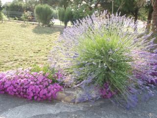 Guest House Jasmin - Rovinj - 8