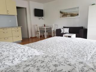 Studio EMMA Ljubljana - FREE parking, AC, Wifi - Lubiana - 0