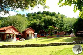 Cabañas El Refugio de los Pajaros - Merlo - 6