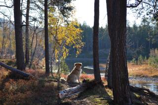 Castillo Moitakuru - 2
