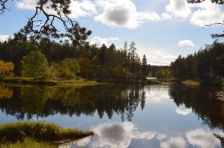 Castillo Moitakuru - Saariselkä - 1