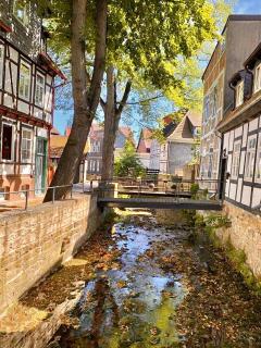 Ferienhaus Zur Abzuchtinsel - Goslar - 7