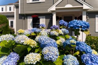 Old Harbor Inn - Chatham - 8