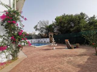 Entre pinos y playa - 0