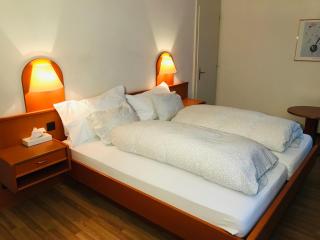 Parkhotel Bellevue Budget - Lenk im Simmental - 8