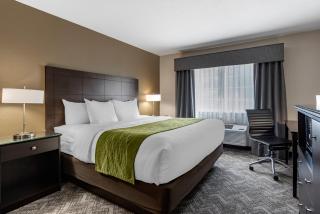 Comfort Inn & Suites Tualatin - Lake Oswego South - Tualatin - 4