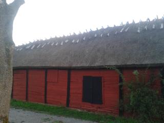Live on Öland, live near the Öland Bridge - 1