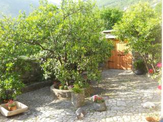 Apartments in Rustic House - Risan - 1