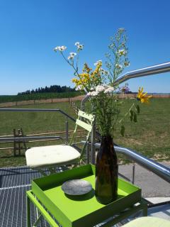 Ferienwohnung am Dachsberg, Bayerischer Wald - Haselbach - 9
