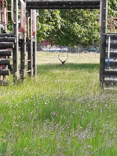 Nevis Pod, West Highland Way Holidays - 7