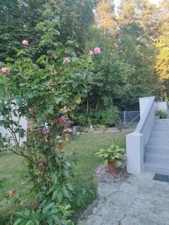 Apartament w sąsiedztwie lasu 1800m od morza - Sopot - 9