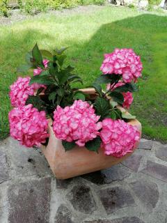 Gästehaus Maria - Privatzimmer - 8