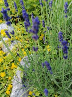 Gästehaus Maria - Privatzimmer - 3