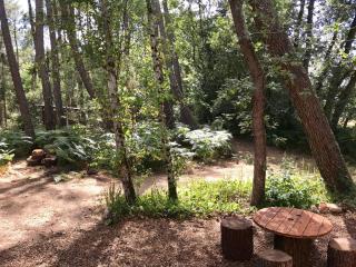 Tiny Stay - Ecolodge - Clefs-Val d'Anjou - 3