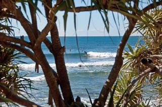 The Norfolks on Moffat Beach - Caloundra - 2