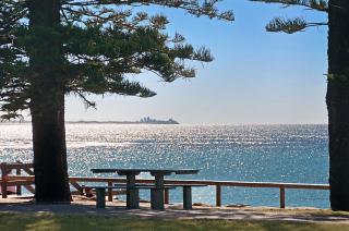 The Norfolks on Moffat Beach - Caloundra - 3