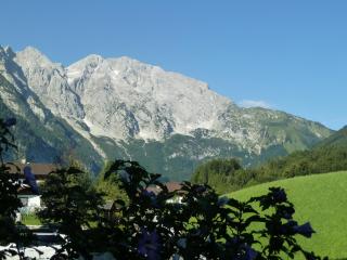 Pension Schöne Aussicht - Kuchl - 6