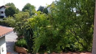 Gastezimmer Nahe Wesslinger See - Weßling - 7