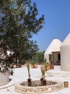 Les Jardins de Villa Maroc - Essaouira - 9