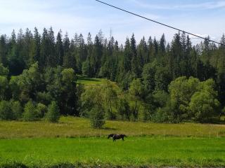 Domek u Mrugały - 4