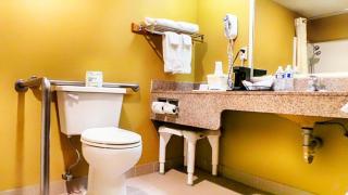 Quality Inn Airport - 4