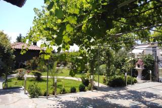 Villa Viktoria Halkidiki - 1