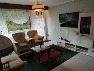 Schönes Apartment mit Pool&Sauna - 1