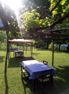 Agriturismo I Fondacci - Grizzana - 6