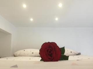 Lovely Studio - Bourges - 0