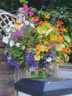 Nanny's little highland hoose - Inverness - 7