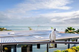Toscana Village Resort - Airlie Beach - 8