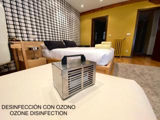 Grand Plaza Mio Cid - Burgos - 9