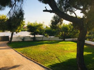 Villa tranquility - Lagonissi - 8