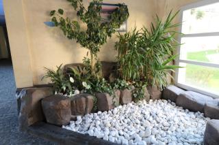 AQUAMARINA011 - Roses - 1