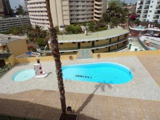 Los Juncos 403 Playa del Inglés - Playa del Ingles - 0