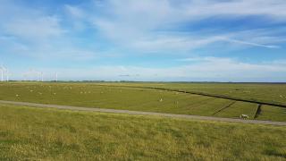 Wohnmobilstellplatz Hemenswarft an der Nordsee - Meerblick - Emmelsbüll-Horsbüll - 9