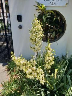 Il Giardino di Mai Exclusive B&b - 1