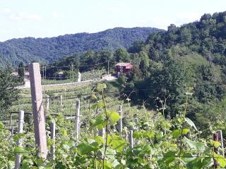 Casa Zuel Guesthouse - Rolle - 8