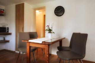 Peters Panoramaappartment - Piesendorf - 1