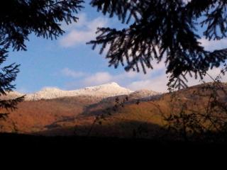 La Pyrène Maison de vacances - 9