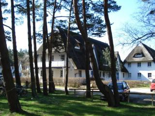 Zingst Achtern Diek 12d Elly - Zingst - 0