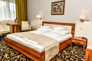 Simbad Hotel & Bar Superior - Mosonmagyaróvár - 3