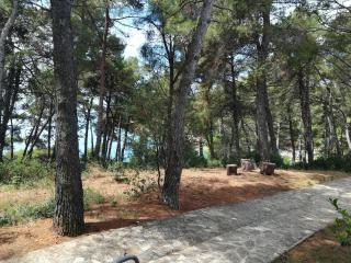 Apartmani Katerina - Pula - 5