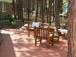 Hotel Villa Nettuno - Marina di Campo - 5