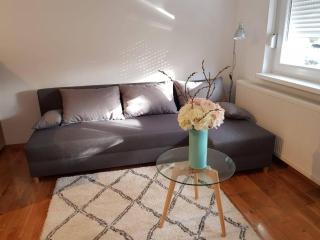 Angela Apartment - Zagreb - 0