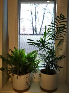 Angela Apartment - Zagreb - 9