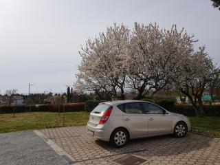 Apartment Rama - Poreč - 7
