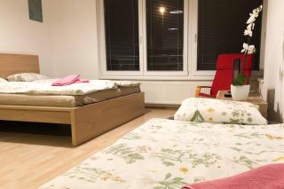 Modern apartments - Airport 8mins - 9