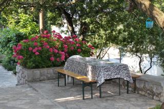 Apartment Klenovica 5580b - Klenovica - 5