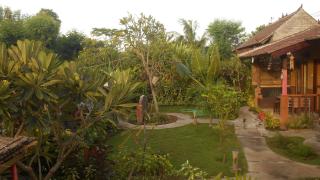 Taman Menjangan homestay by SnorkelingMenjangan - Banyuwedang - 4